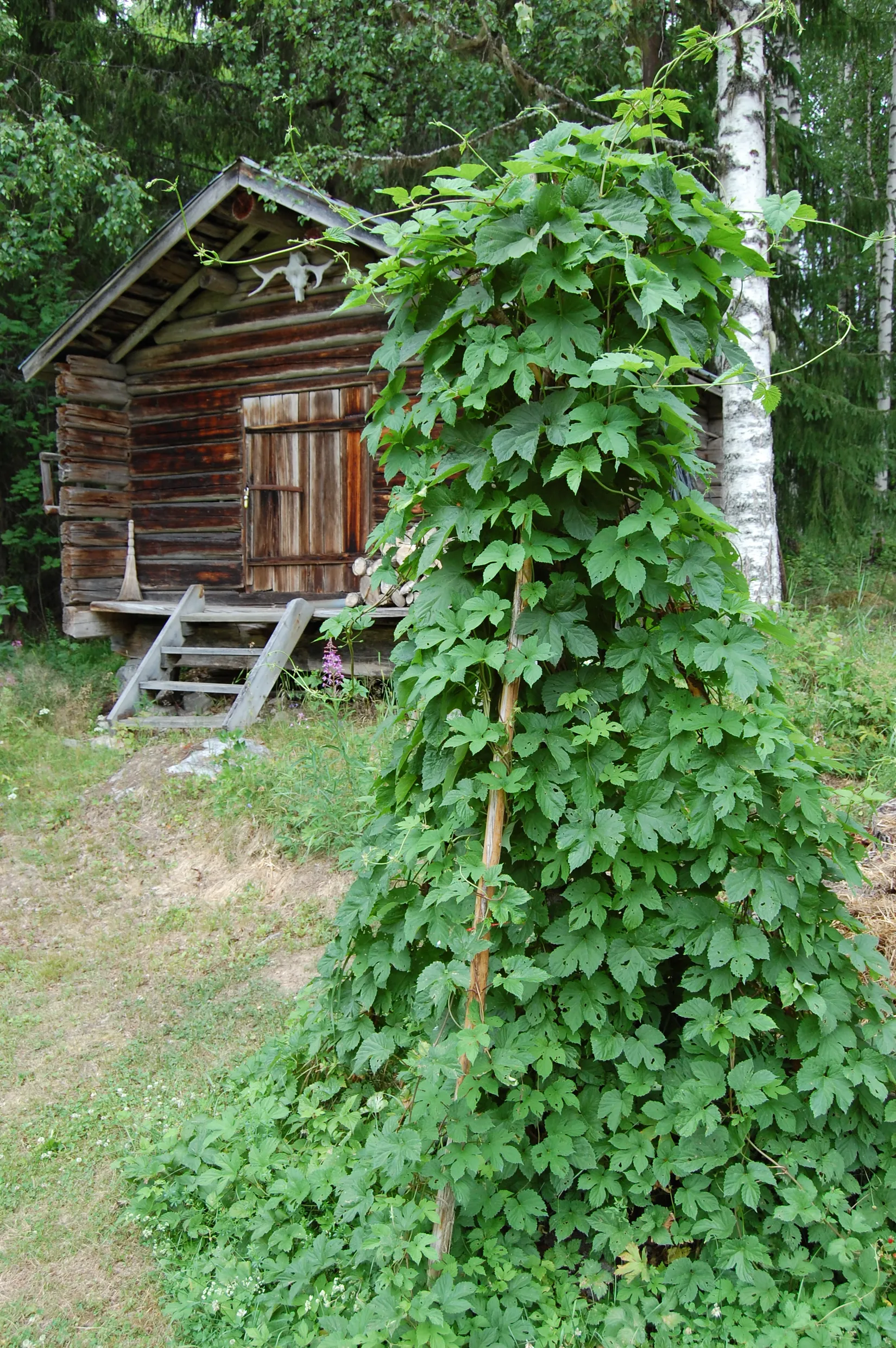 Fritidshus, Hovra Inibyvägen 34 & 54, Färila, Korskrogen, Ljusdal