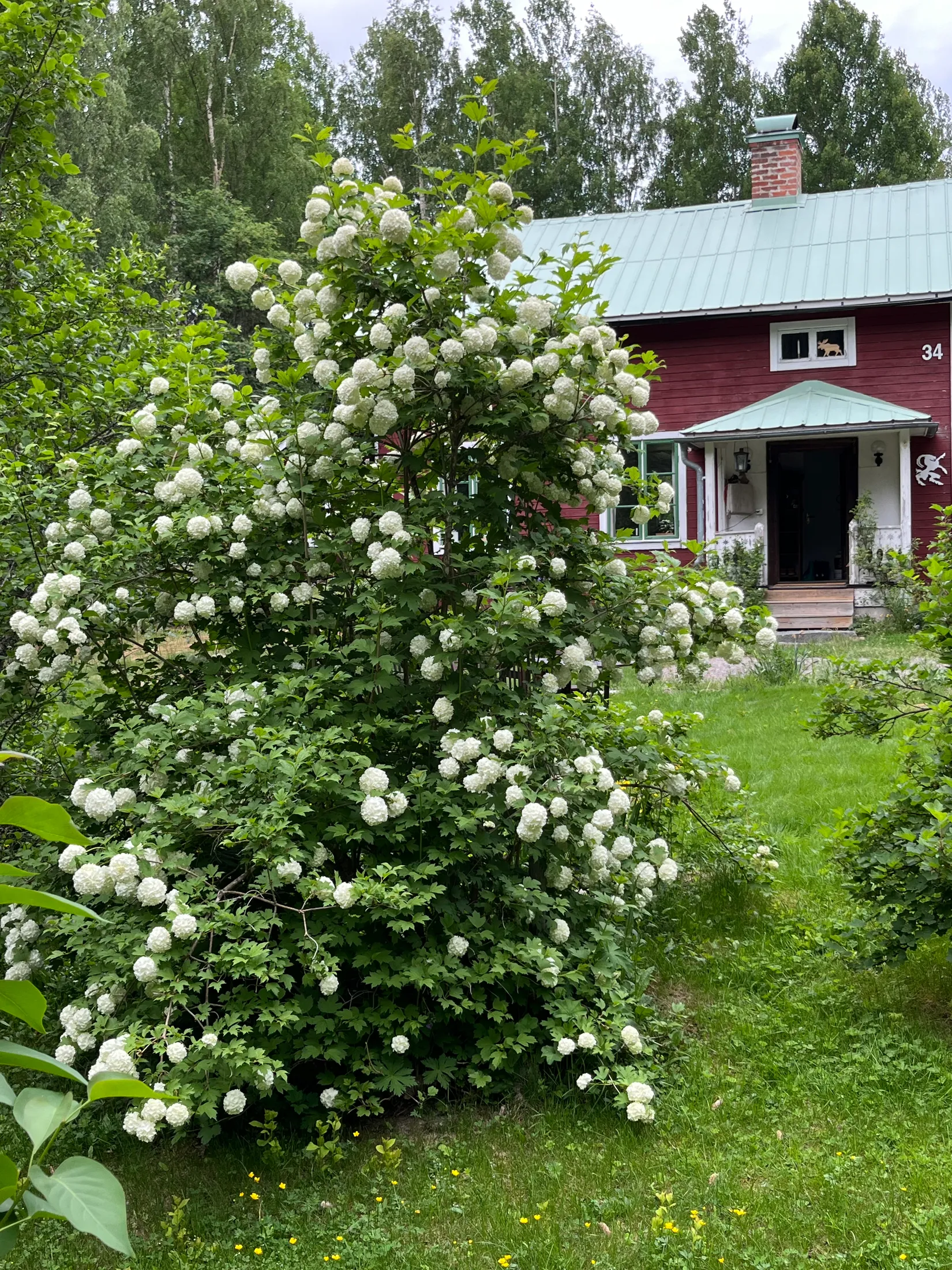 Fritidshus, Hovra Inibyvägen 34 & 54, Färila, Korskrogen, Ljusdal