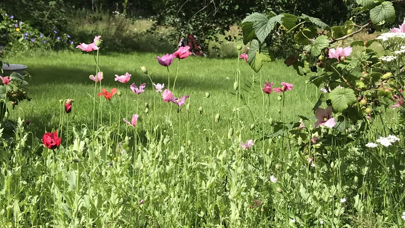 Fritidshus, Hovra Inibyvägen 34 & 54, Färila, Korskrogen, Ljusdal