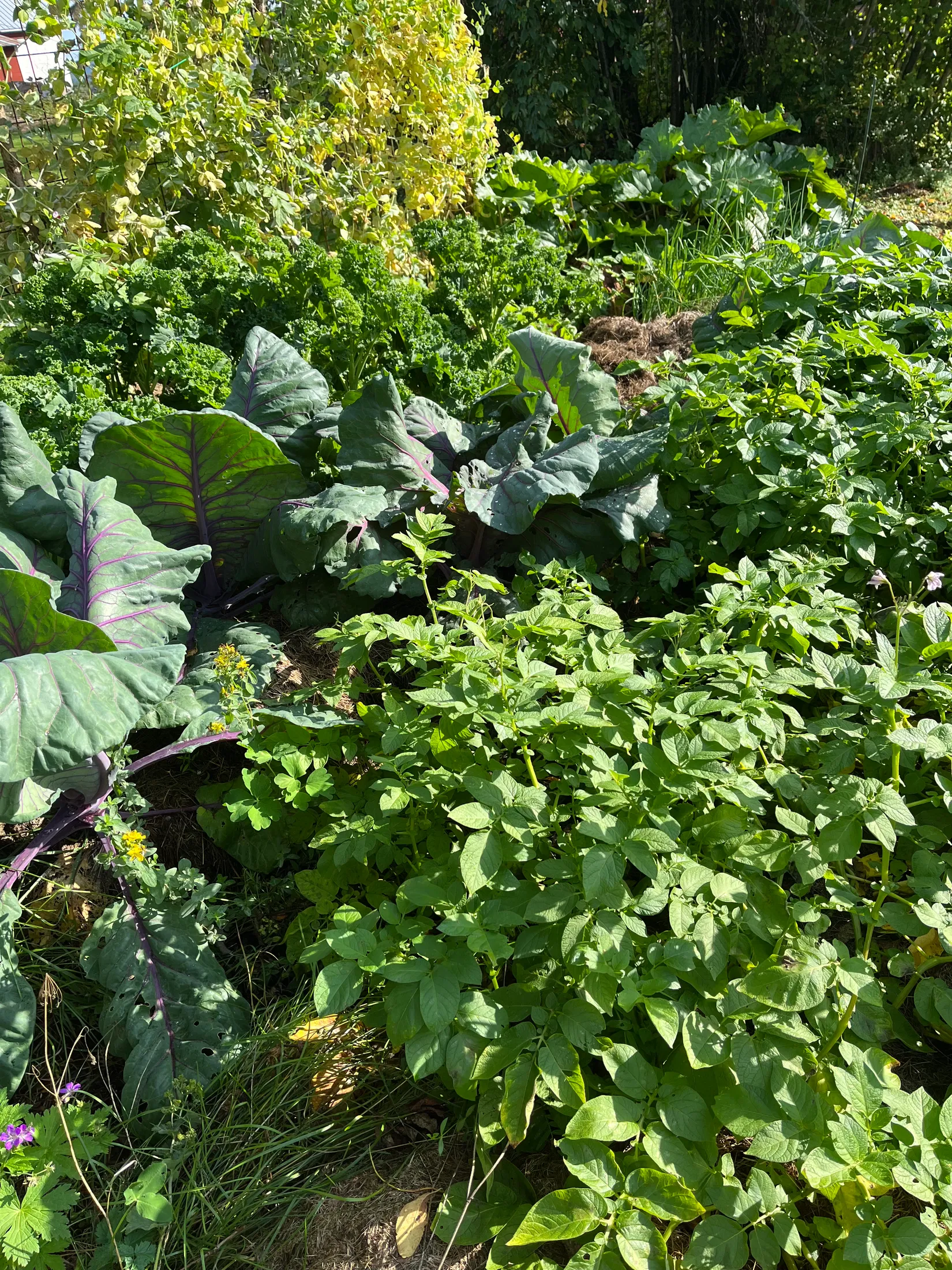 Fritidshus, Hovra Inibyvägen 34 & 54, Färila, Korskrogen, Ljusdal