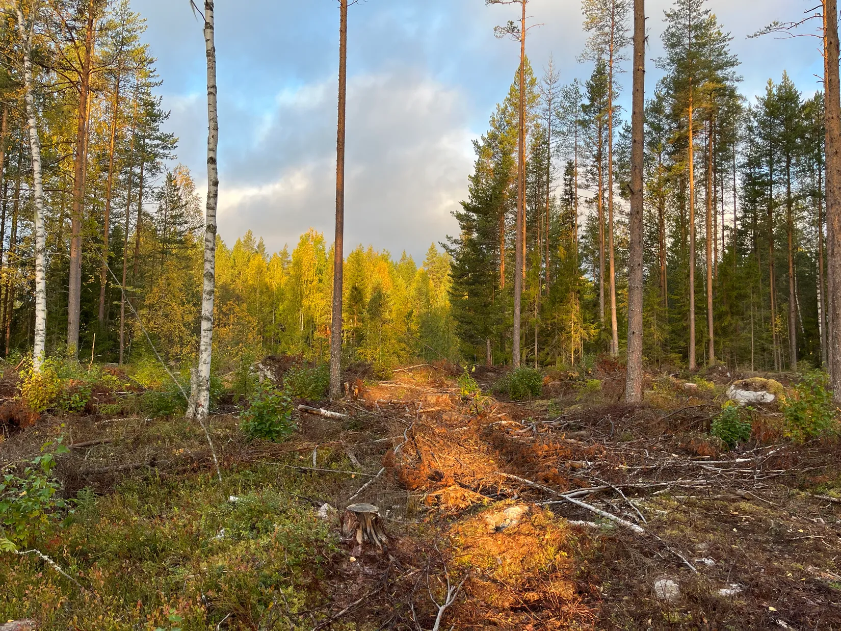 Fritidshus, Hovra Inibyvägen 34 & 54, Färila, Korskrogen, Ljusdal