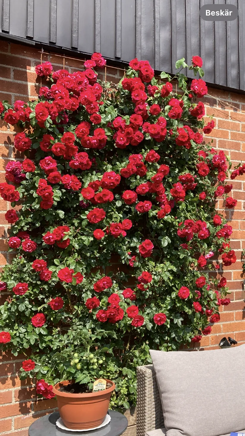 Villa, Össebyvägen 40, Åkerstorp, Österåker