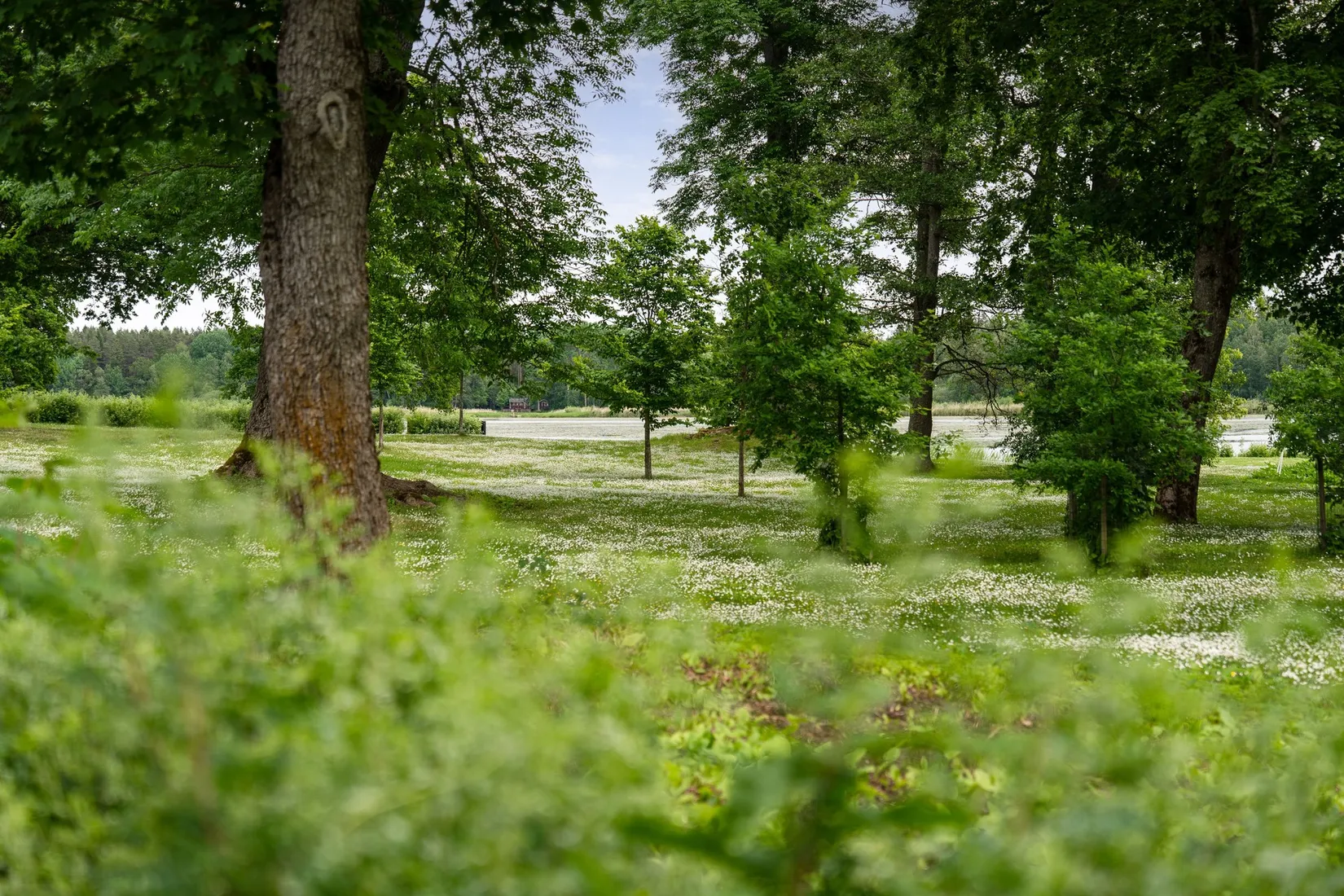 Fritidshus, Långruddu 509, Vendel, Tierp