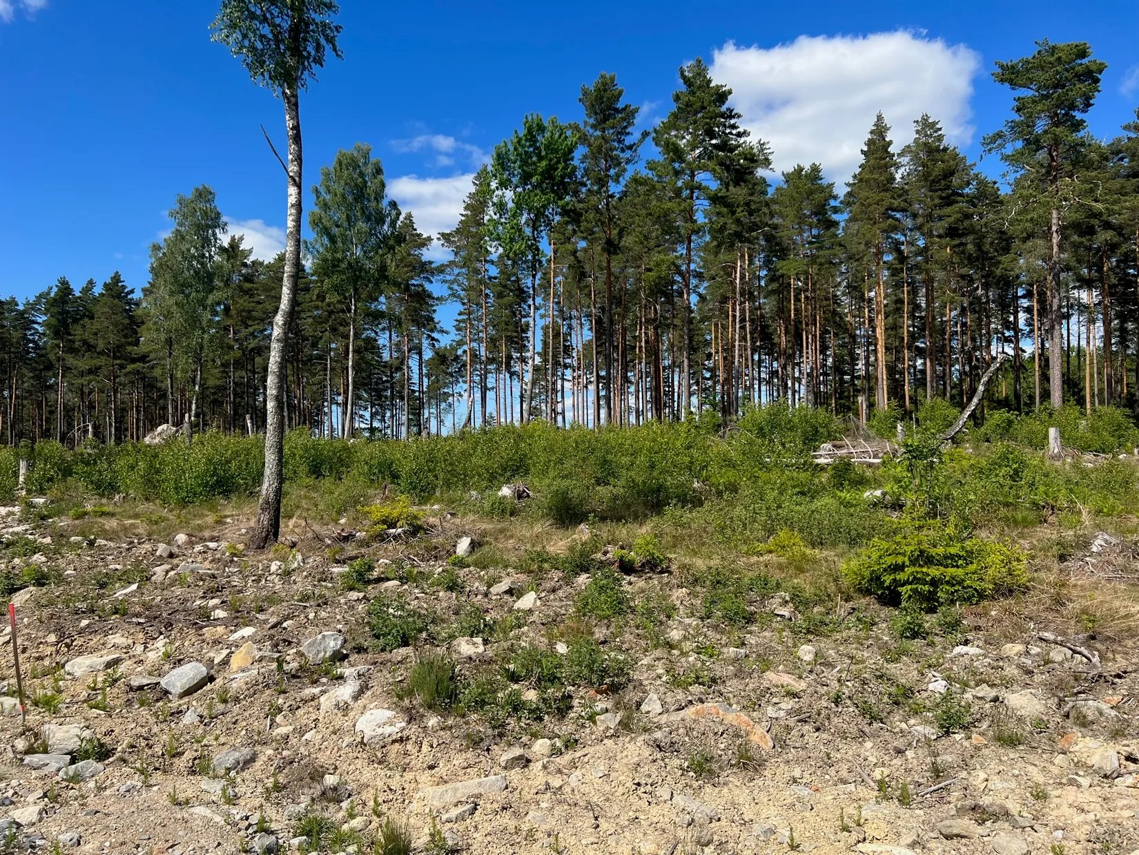 Tomt, Väsby Grind 4, Kungsåra- Väsby Grind, Västerås