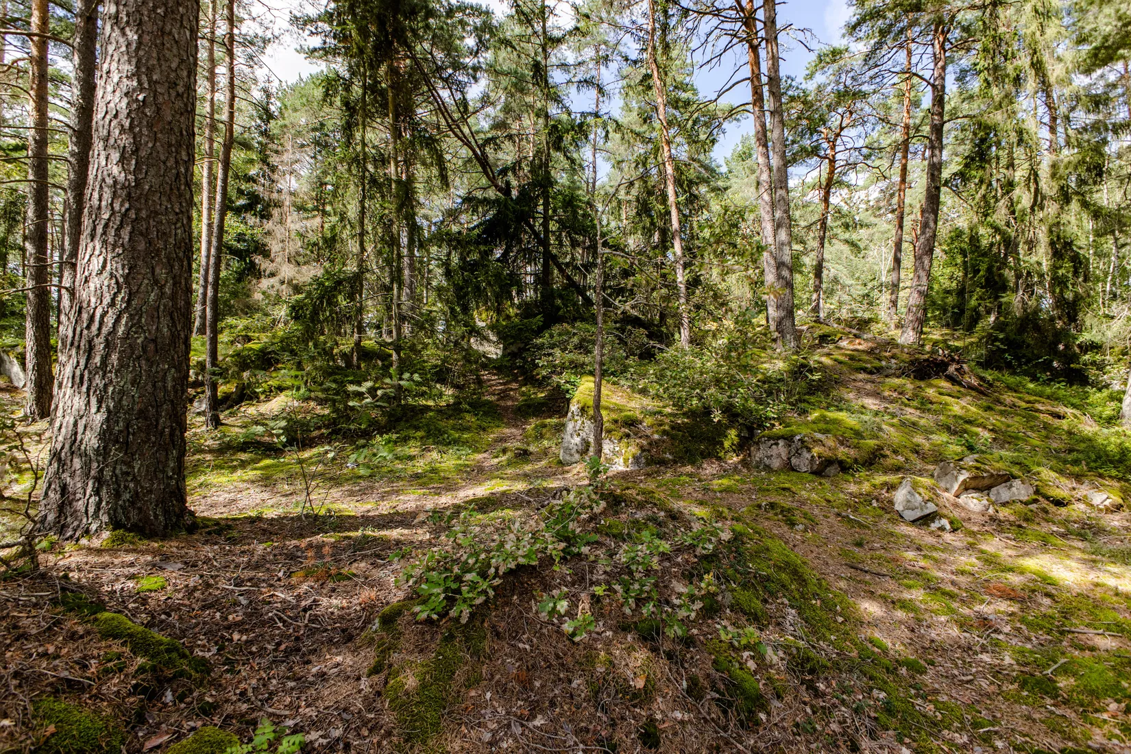 Bostadsrätt, Ringduvegatan 5, Råby, Västerås
