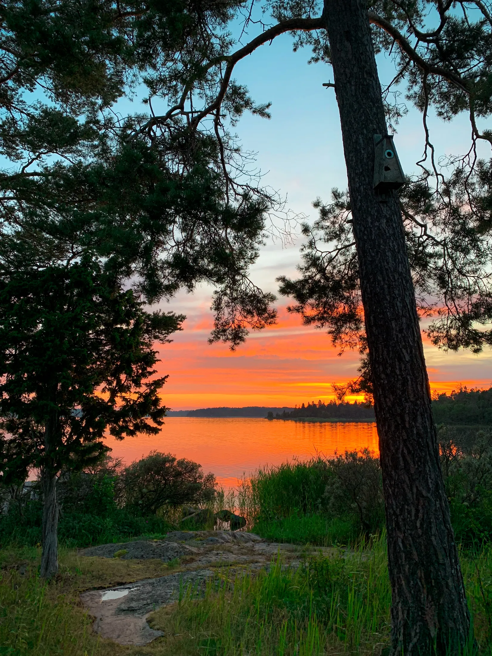 Fritidshus, Fälön Bomörarna 145, Stora Bomören/ Fälön - Raggarön, Östhammar