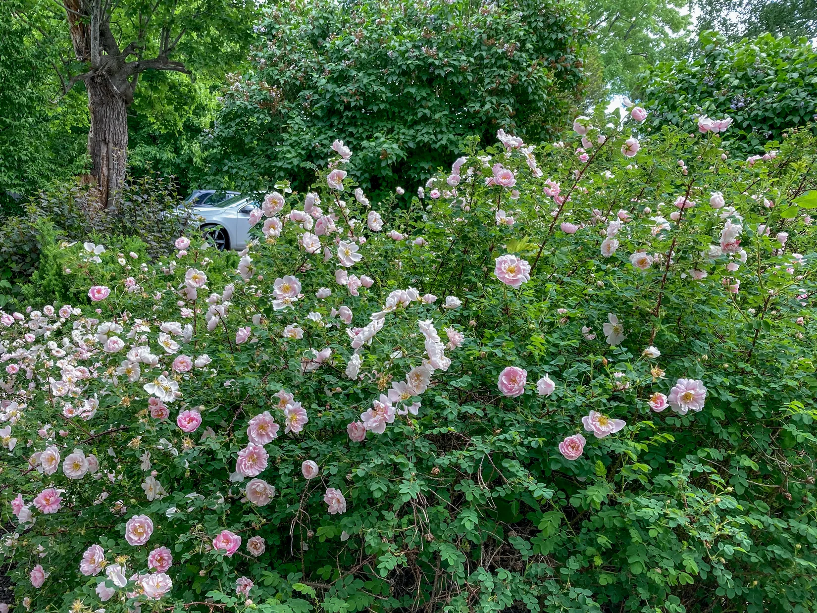 Villa, Allévägen 7, Österskär, Österåker