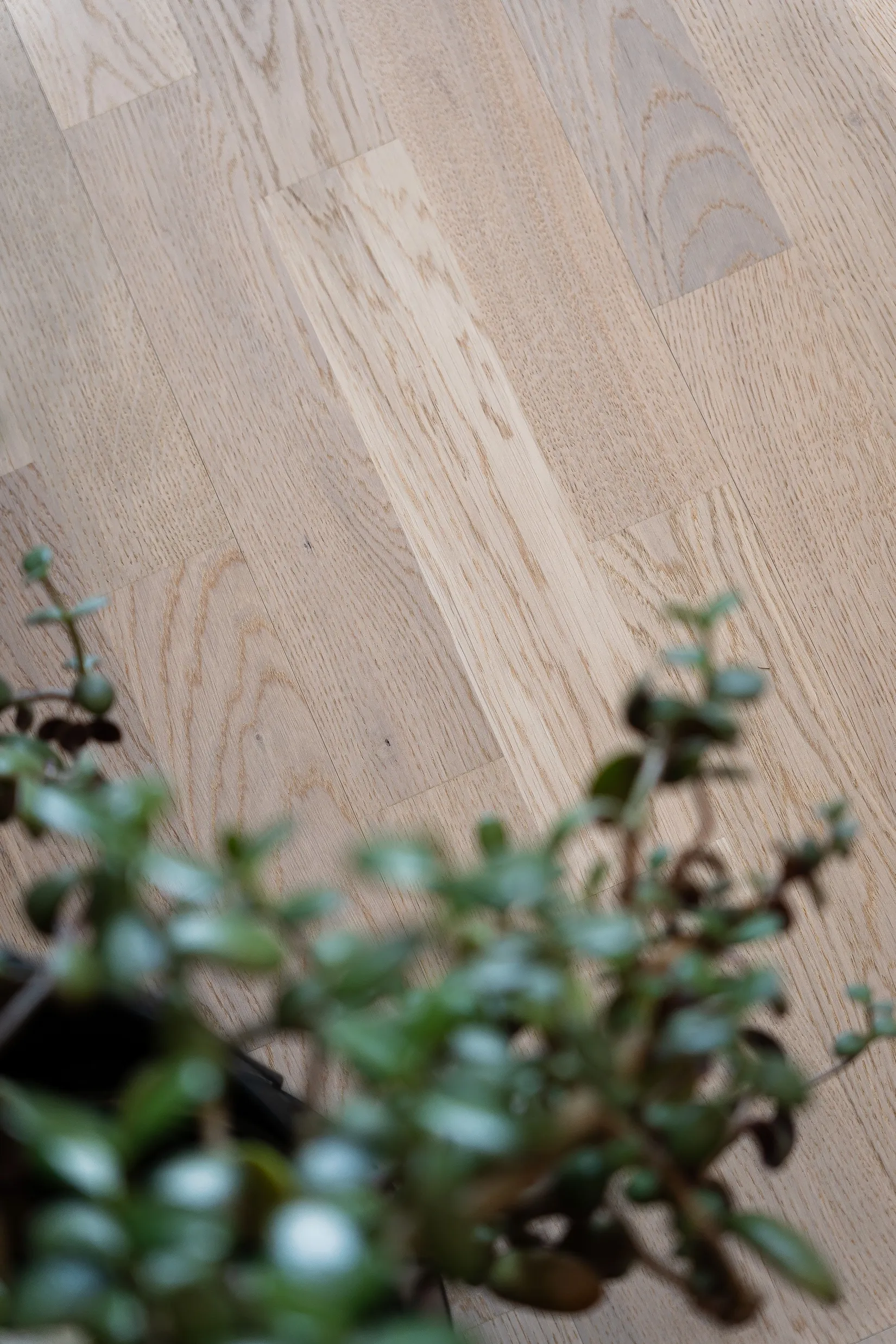 Bostadsrätt, Slädgatan 5B, Skellefteå