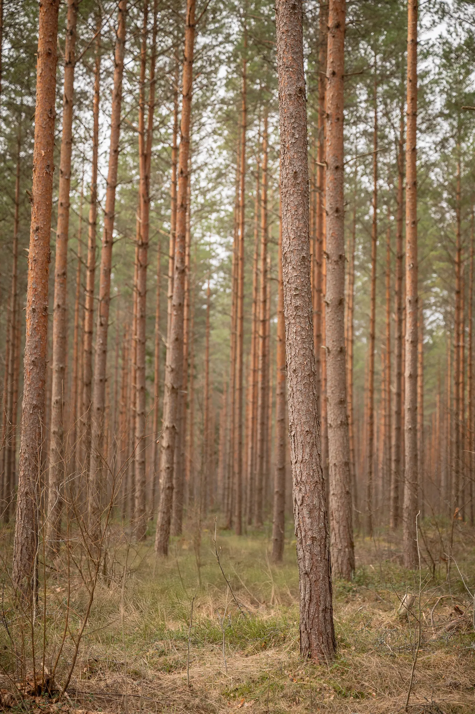 Fritidshus, Botorp 812, Botorp, Karlstad