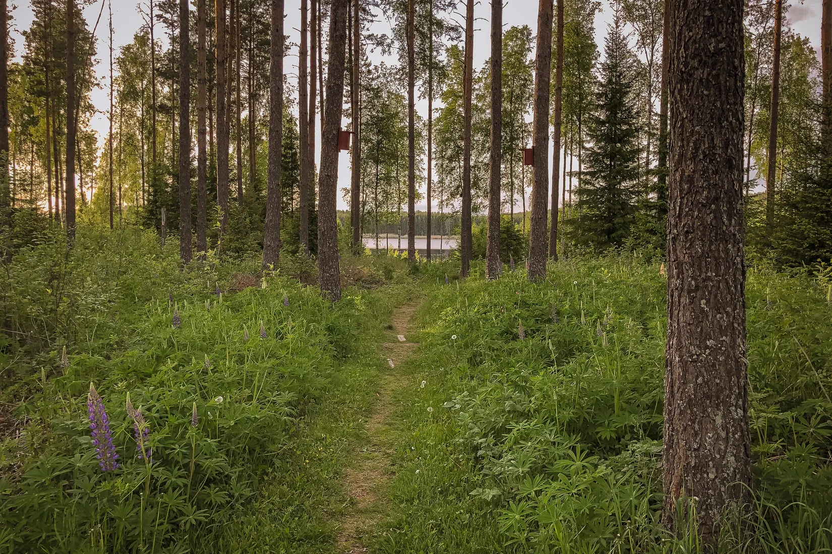 Fritidshus, Botorp 812, Botorp, Karlstad