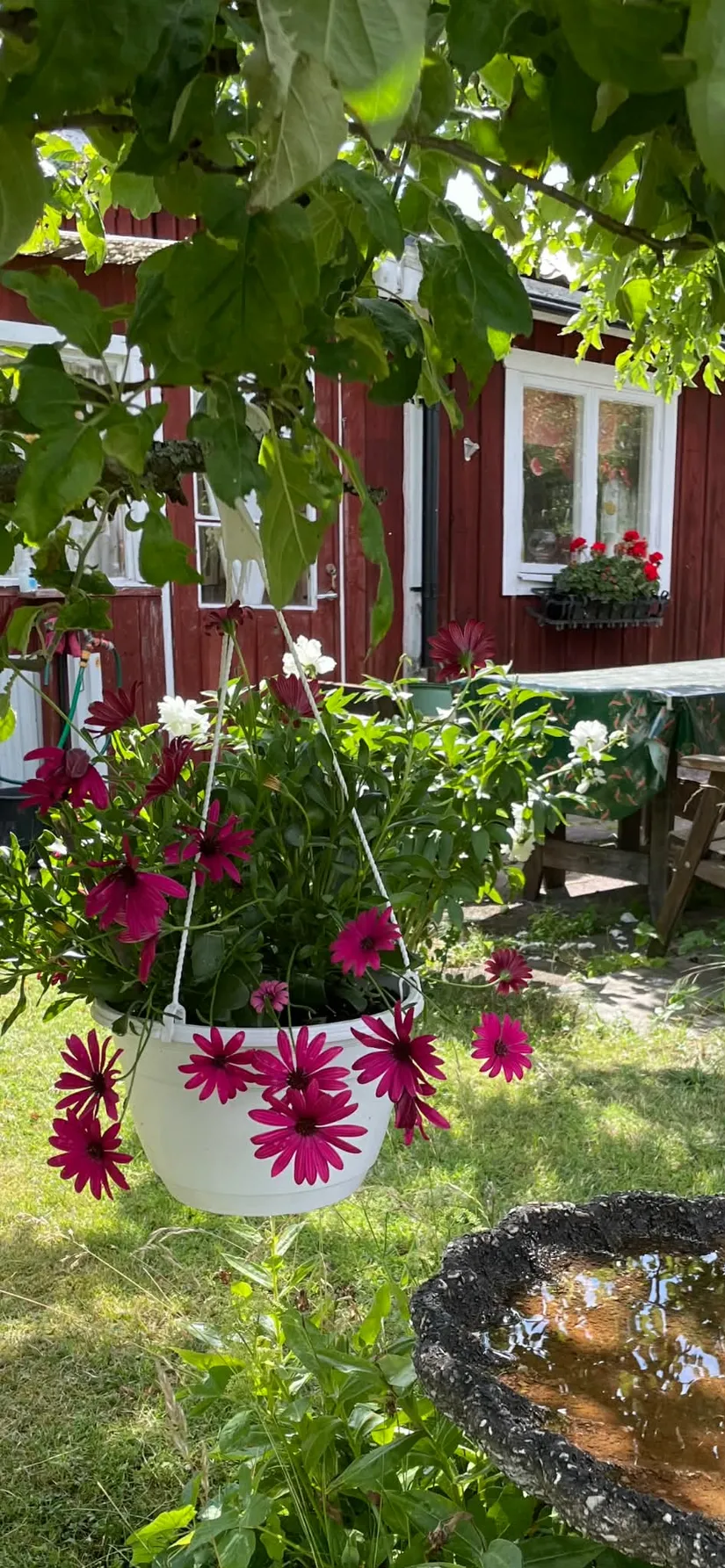 Fritidshus, Kolonistuga Krusbärsvägen 95, Emmalund, Johannelund, Linköping