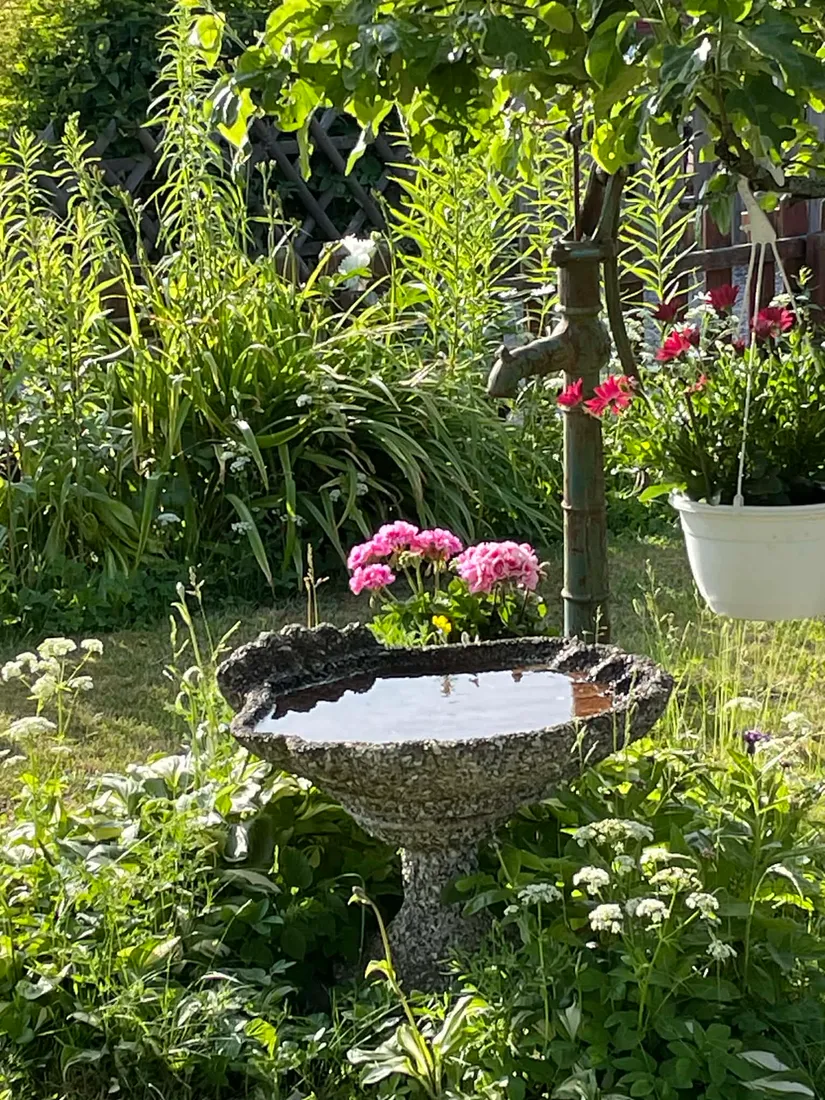 Fritidshus, Kolonistuga Krusbärsvägen 95, Emmalund, Johannelund, Linköping