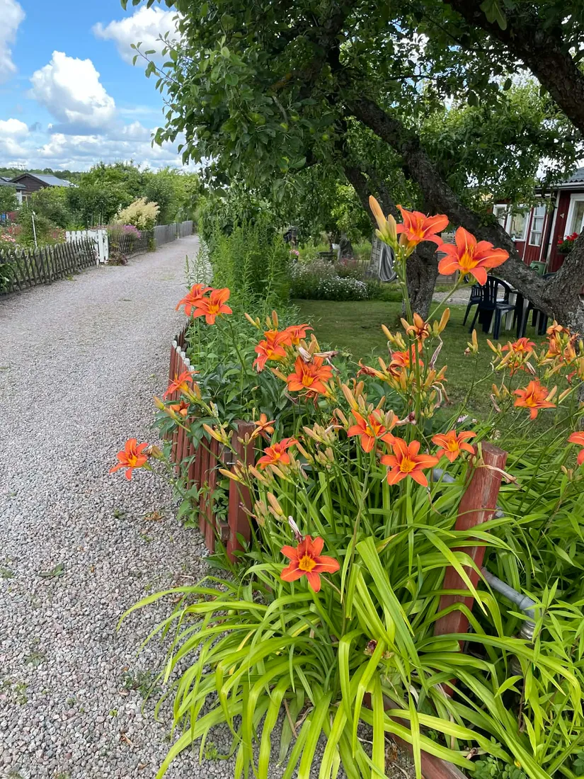 Fritidshus, Kolonistuga Krusbärsvägen 95, Emmalund, Johannelund, Linköping