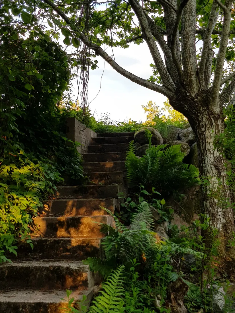 Tomt, Rönnvägen 37, Knutby, Uppsala