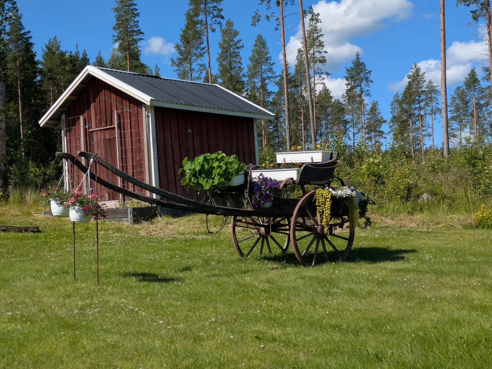 Gård/Skog, Flärke 235, Örnsköldsvik