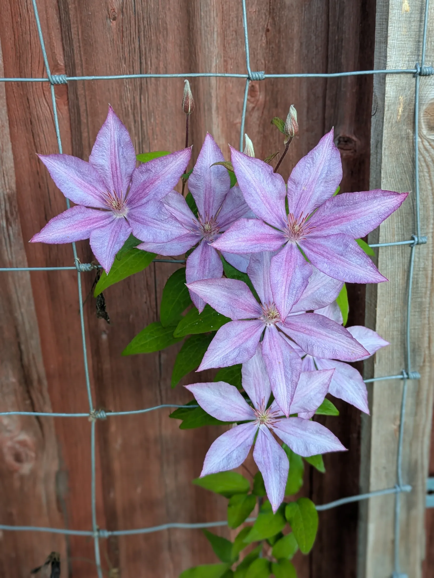 Gård/Skog, Flärke 235, Örnsköldsvik