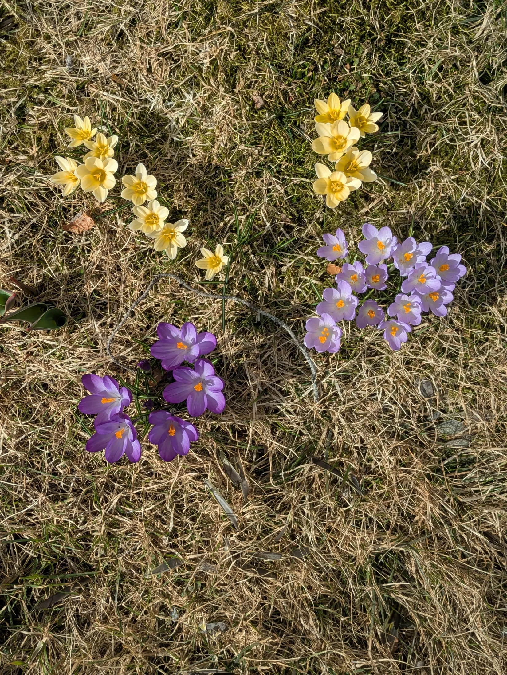 Gård/Skog, Flärke 235, Örnsköldsvik