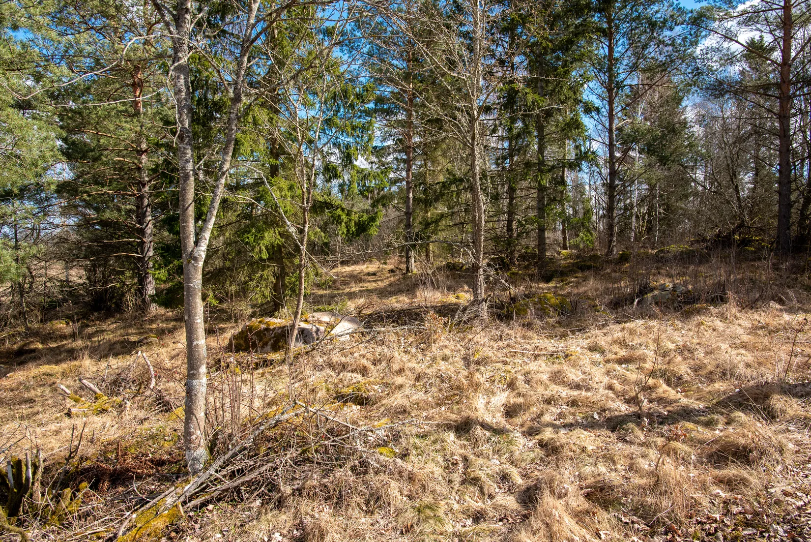 Tomt, Ånestad 1:31, Vårdsberg, Linköping