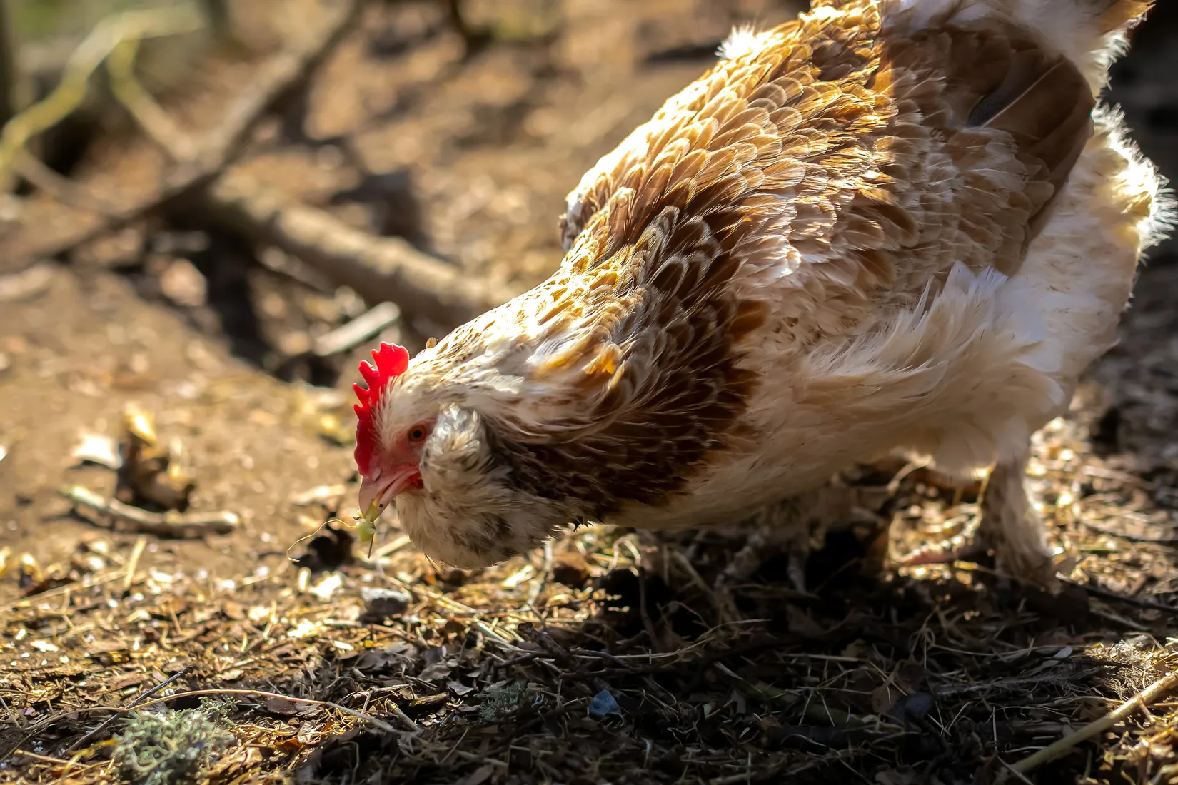 Villa, Gäddkroken 16, Herrviksnäs, Värmdö