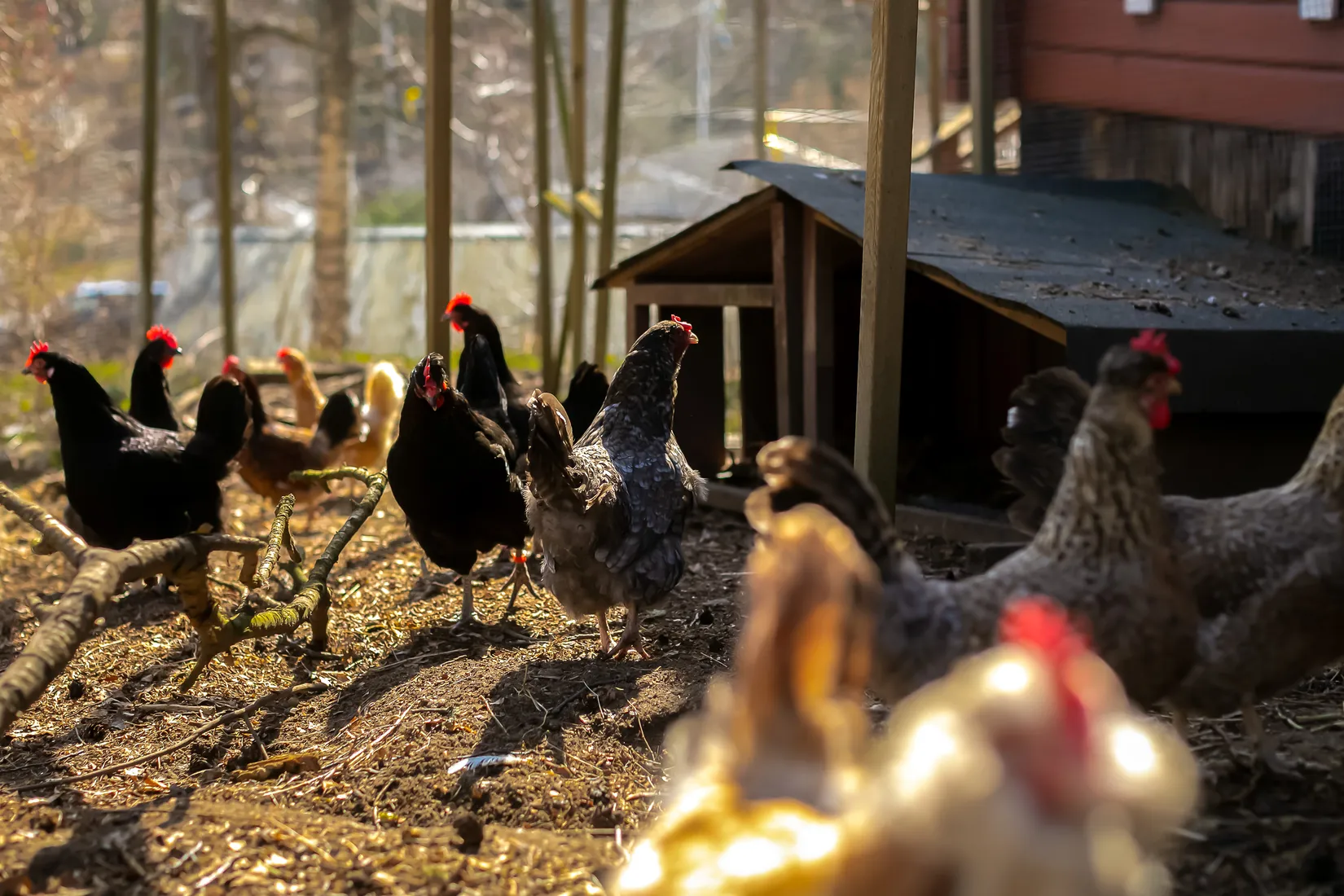 Villa, Gäddkroken 16, Herrviksnäs, Värmdö