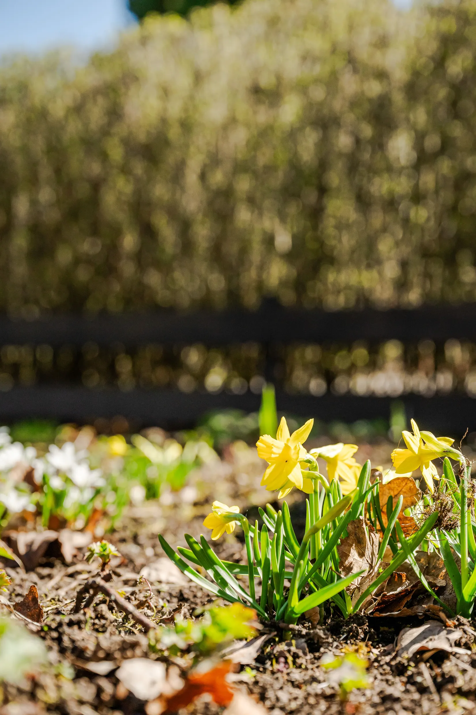 Bostadsrätt, Aron Nils väg 1A, Osby - Centralt, Osby