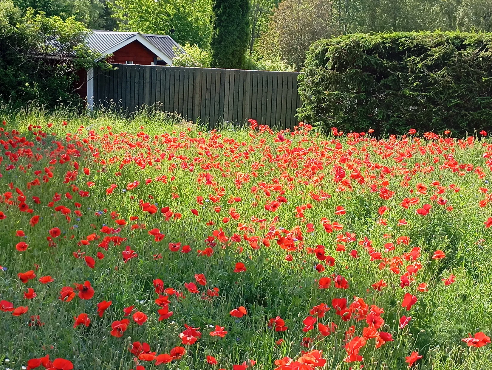 Fritidshus, Husby ringväg 52, Husby, Strängnäs