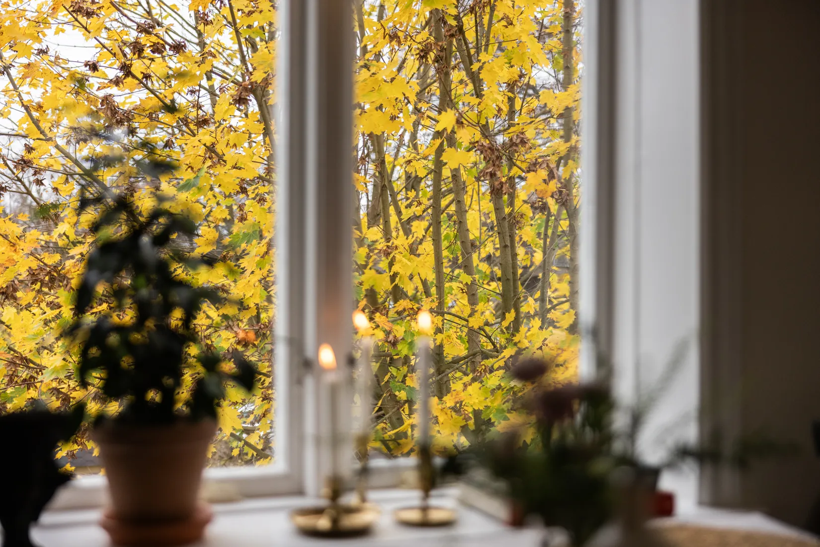 Bostadsrätt, S:t Pauligatan 2A, Bäckalyckan, Jönköping