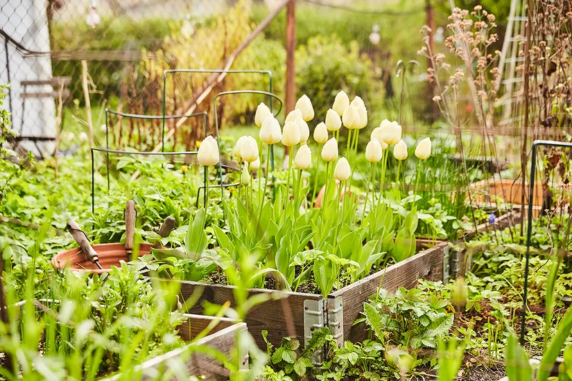 Bostadsrätt, S:t Pauligatan 2A, Bäckalyckan, Jönköping