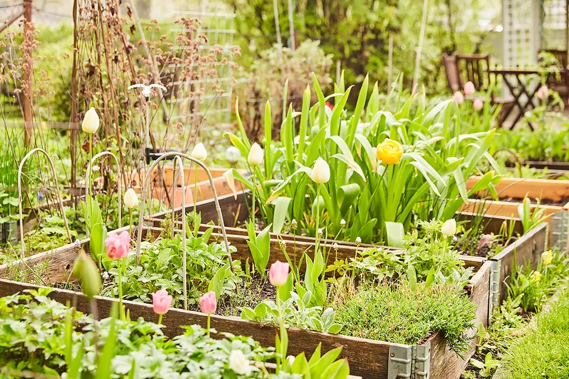 Bostadsrätt, S:t Pauligatan 2A, Bäckalyckan, Jönköping