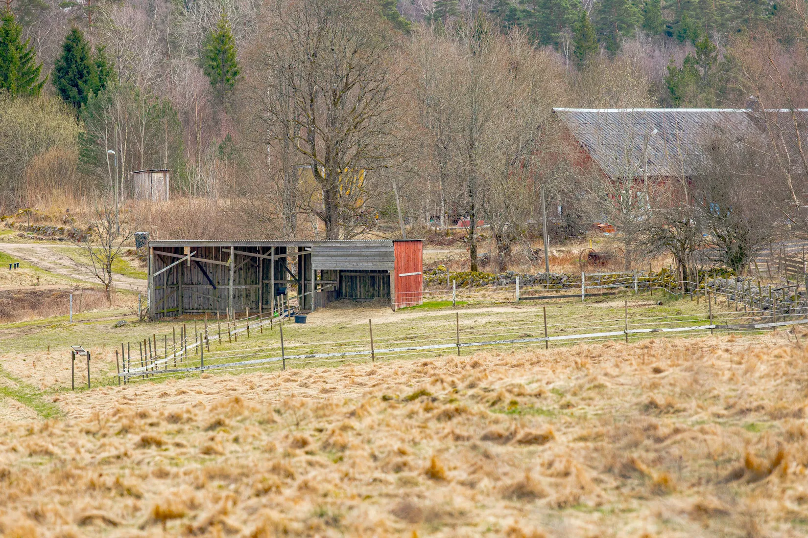 Gård/Skog, Östergård 398, Oskarström, Halmstad