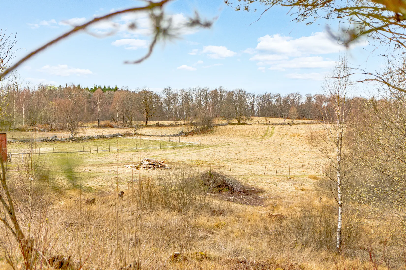 Gård/Skog, Östergård 398, Oskarström, Halmstad