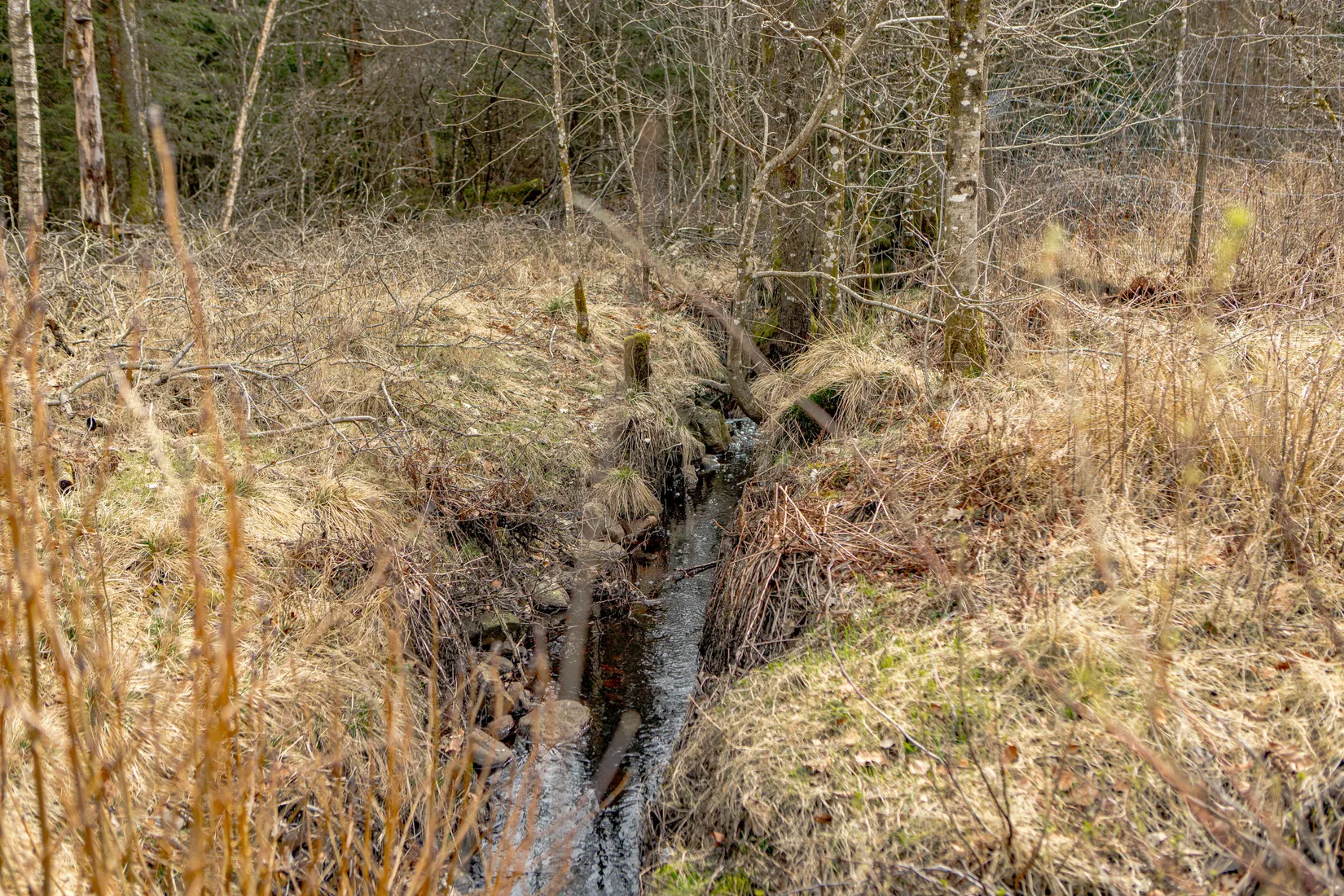 Gård/Skog, Östergård 398, Oskarström, Halmstad