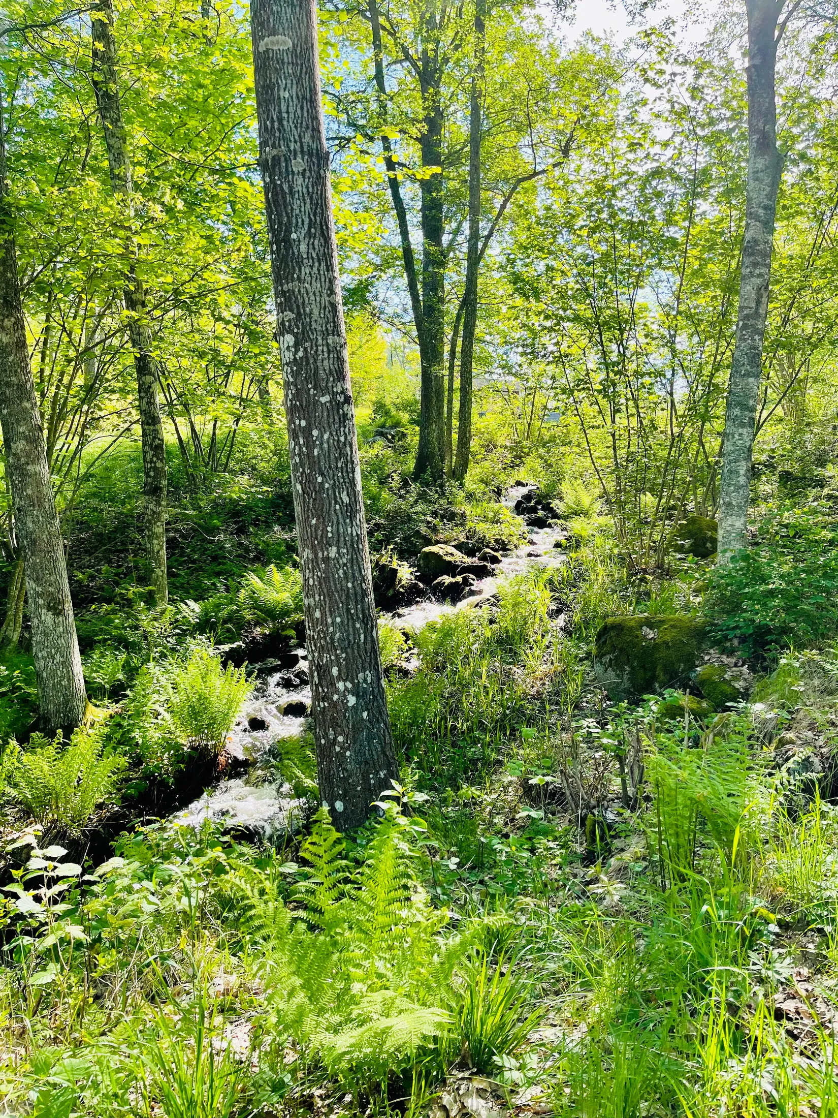 Fritidshus, Gäddvägen 13, Svinsjö Gård, Gnesta