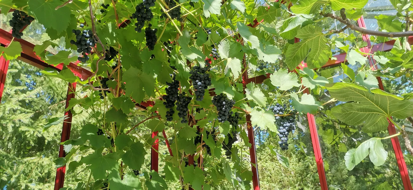 Fritidshus, Gäddvägen 13, Svinsjö Gård, Gnesta