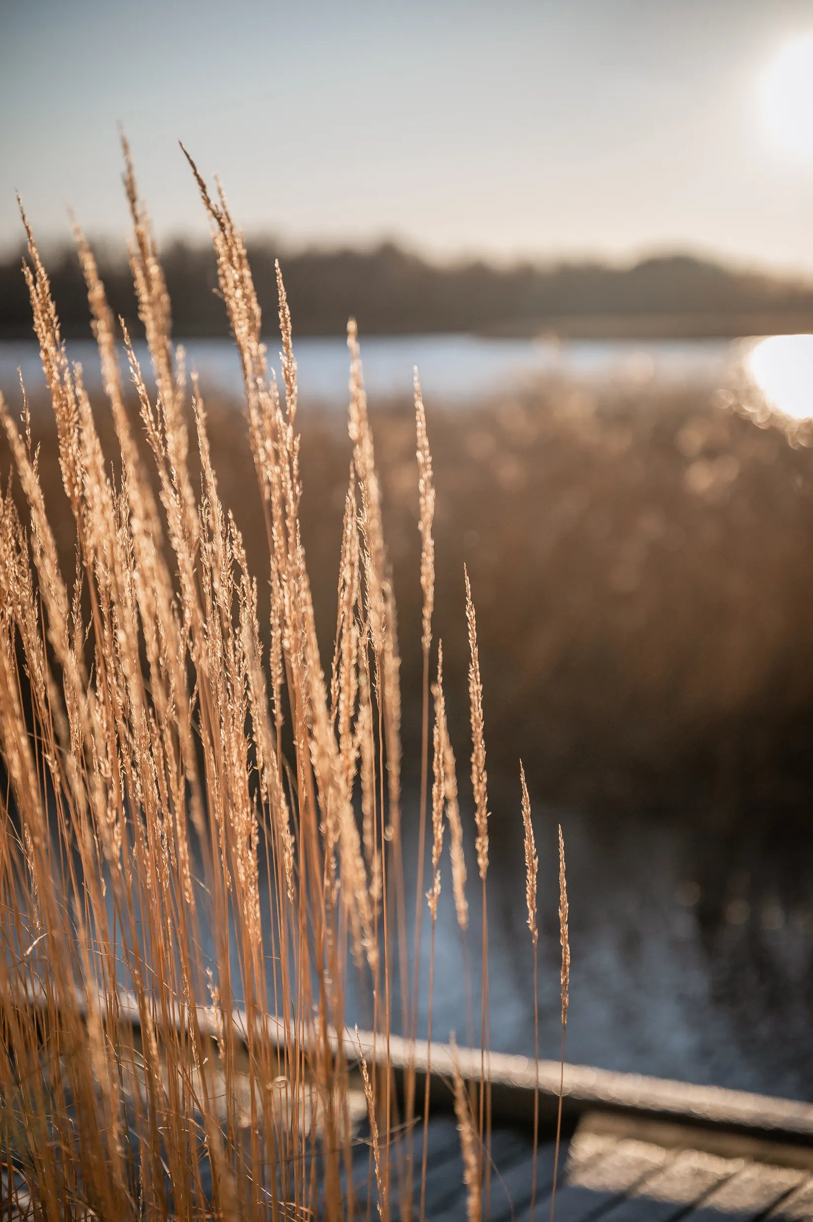 Bostadsrätt, Packhusallén 4D, Tullholmsviken, Karlstad