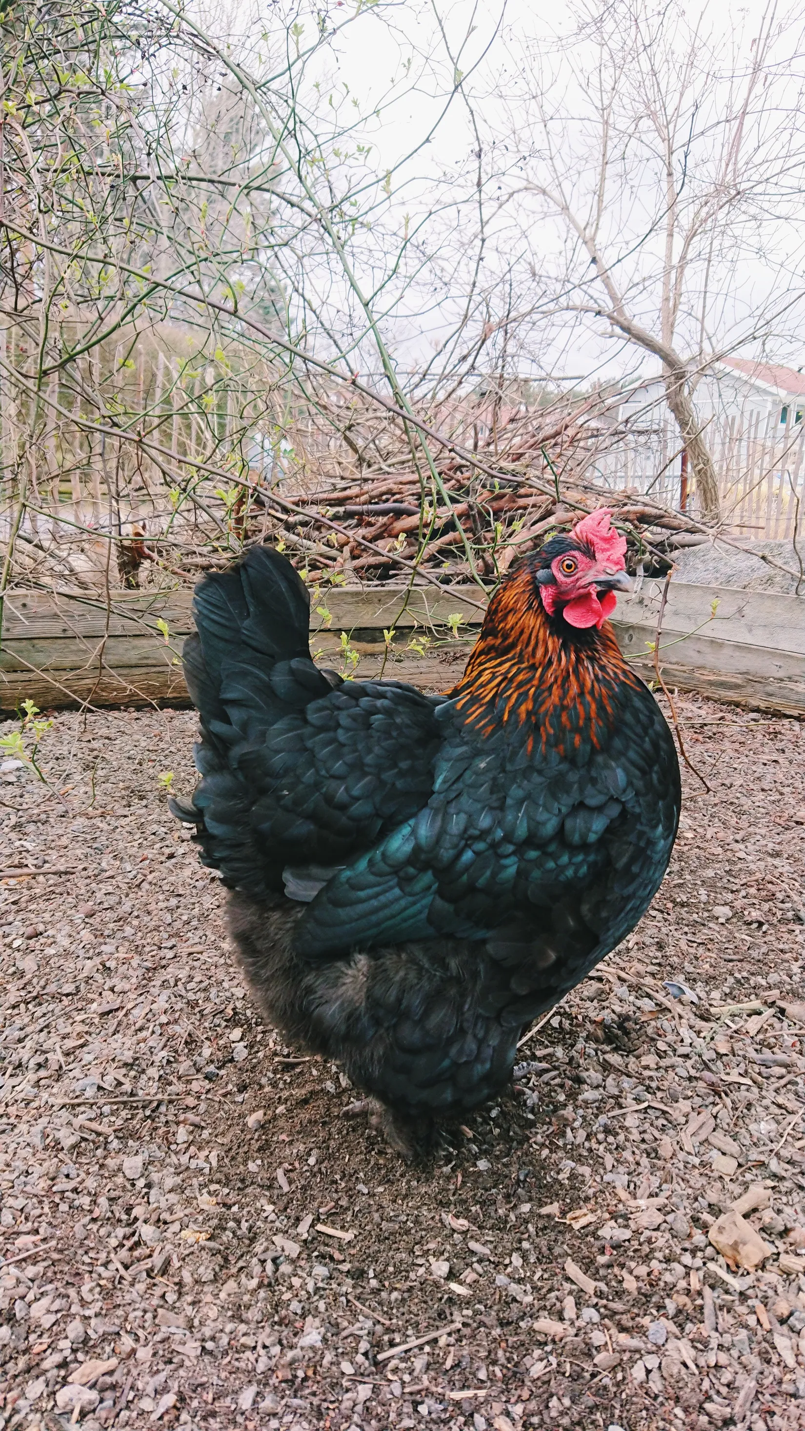 Bostadsrätt, Ängsviksvägen 10B, Värmdö - Ängsvik, Värmdö