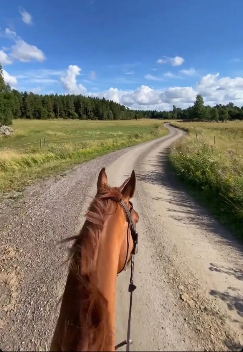 Villa, Skånela Stensta 276, Sigtuna