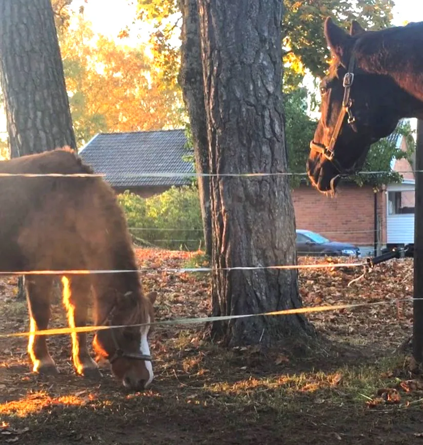 Villa, Skånela Stensta 276, Sigtuna