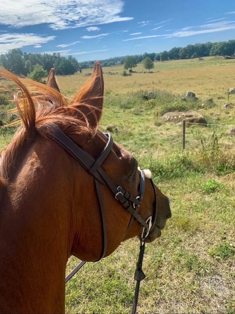 Villa, Skånela Stensta 276, Sigtuna
