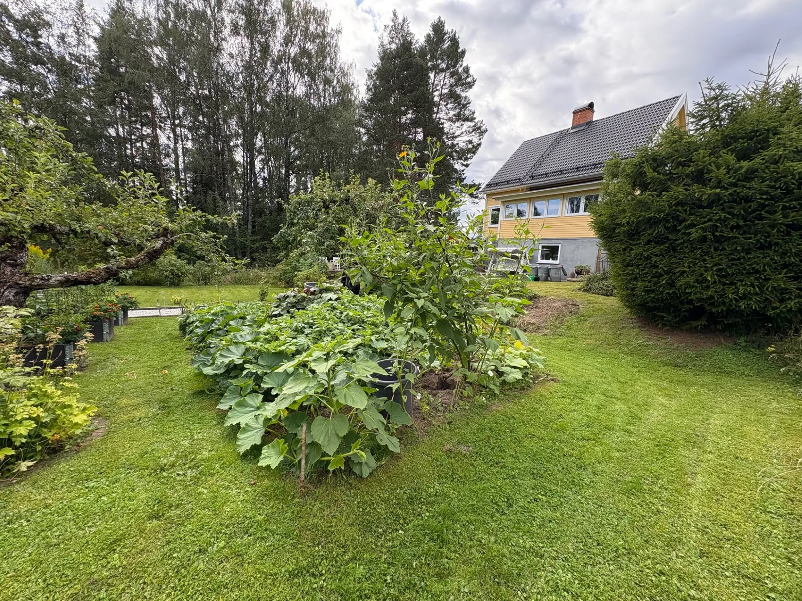 Fritidshus, Bratthedsvägen 16, Ramnäs, Surahammar