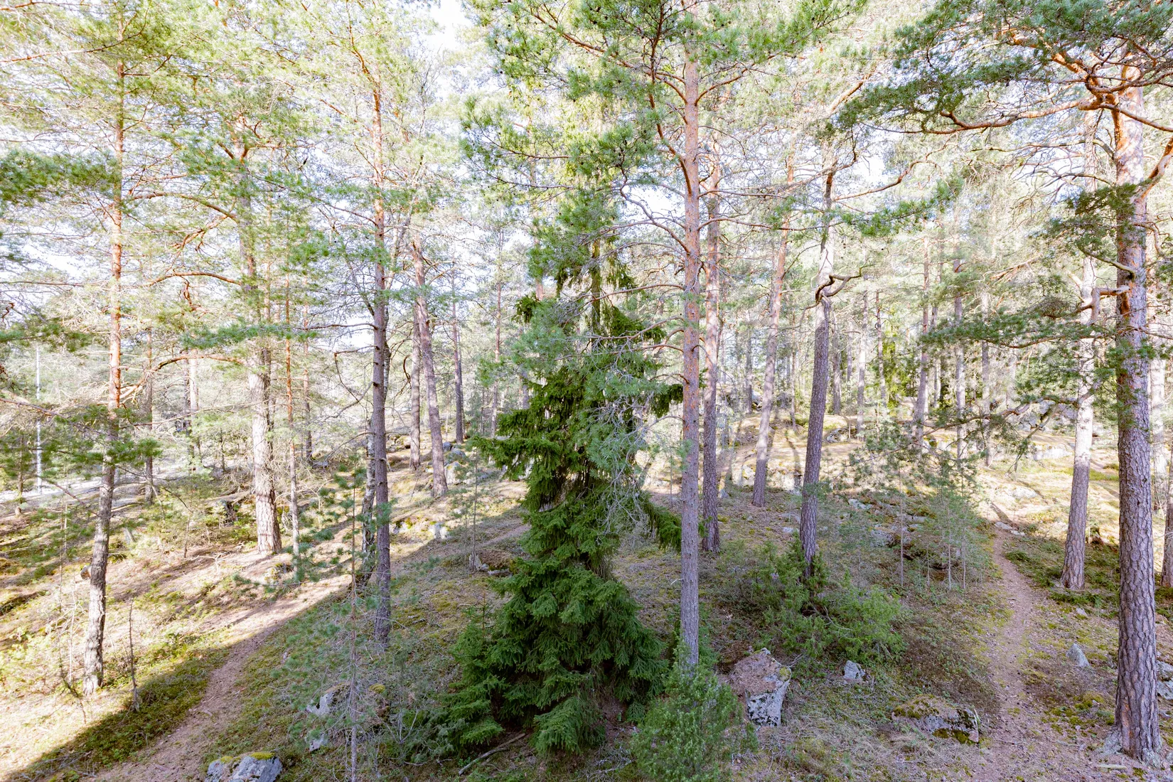 Bostadsrätt, Skogsduvevägen 3, Råby, Västerås