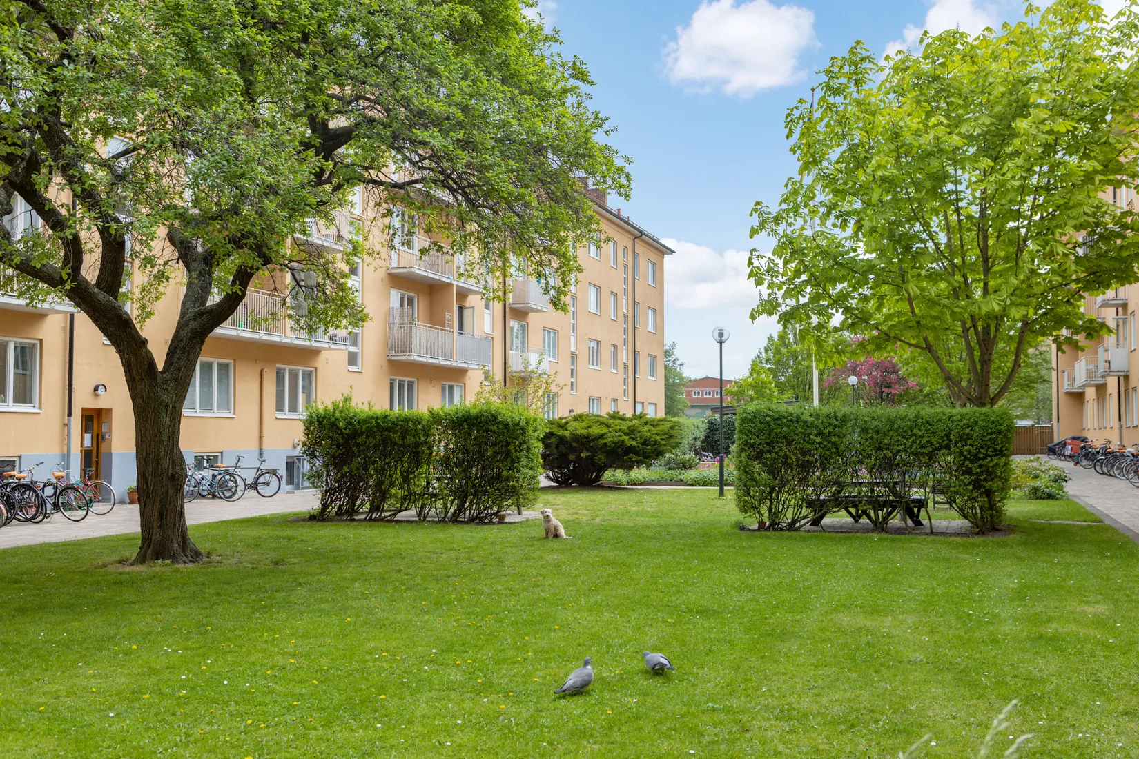 Bostadsrätt, Ystadsgatan 47G, Nobeltorget/Sofielund, Malmö