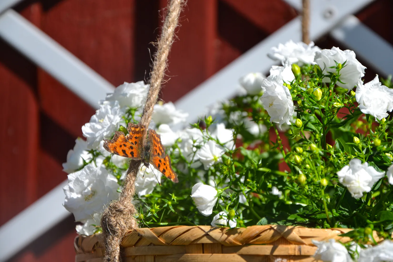 Fritidshus, Östra Harg HOLMEN NORRA 30, Östra Harg, Linköping