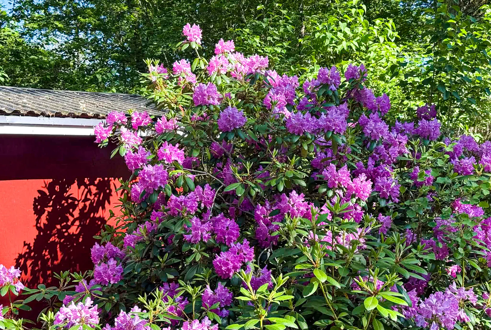 Fritidshus, Östra Harg HOLMEN NORRA 30, Östra Harg, Linköping