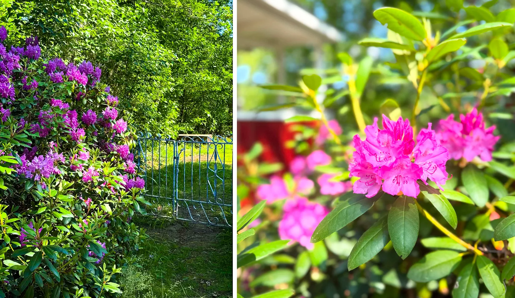 Fritidshus, Östra Harg HOLMEN NORRA 30, Östra Harg, Linköping