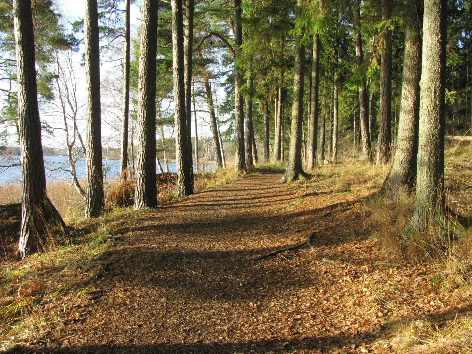 Radhus, Vitnäsvägen 48, Drevviksstrand, Huddinge