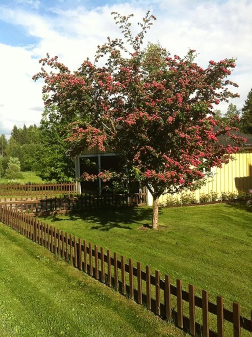 Villa, Björkmo 204, Hudiksvall