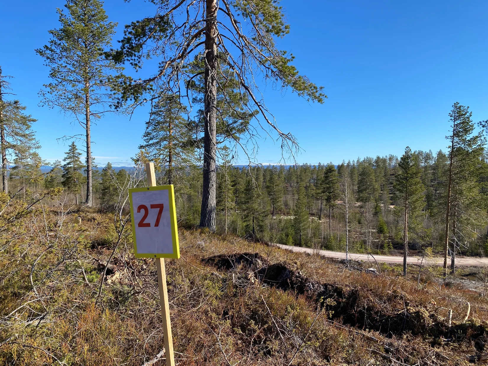 Tomt, Mickeltemplet, Särna, Älvdalen
