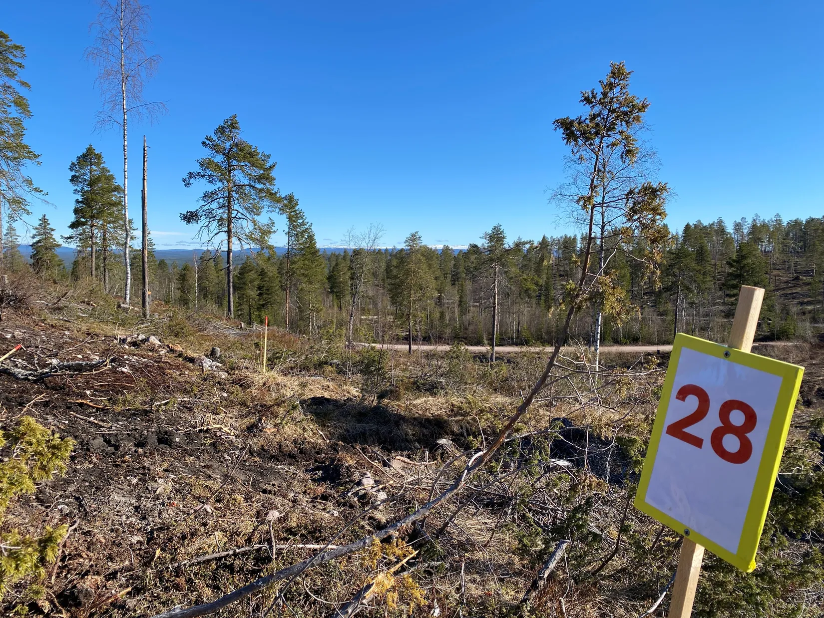 Tomt, Mickeltemplet, Särna, Älvdalen