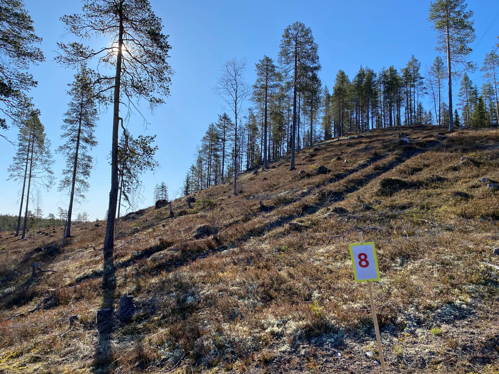 Tomt, Mickeltemplet, Särna, Älvdalen